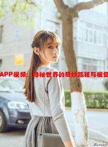 抖阴APP视频：隐秘世界的奇妙旅程与视觉盛宴