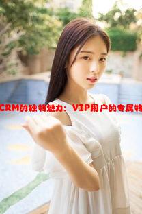 成就免费CRM的独特魅力：VIP用户的专属特色与体验