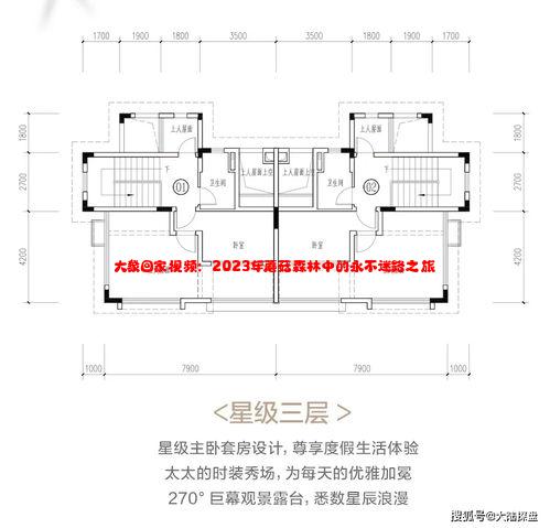 大象回家视频：2023年蘑菇森林中的永不迷路之旅