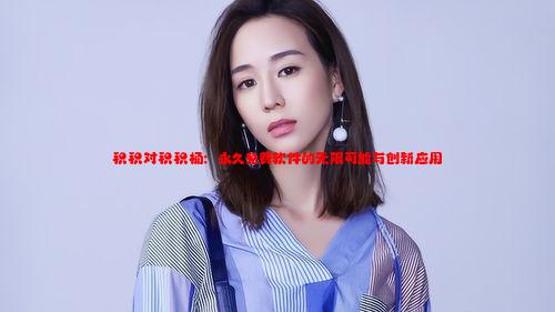 积积对积积桶：永久免费软件的无限可能与创新应用